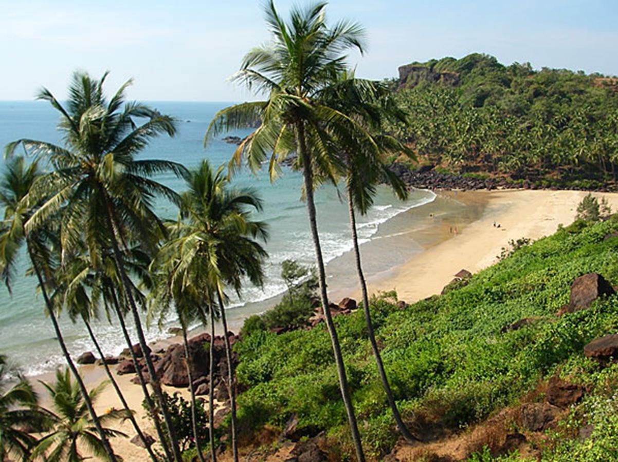 Blue Lagoon Resort Goa Cola Exteriér fotografie